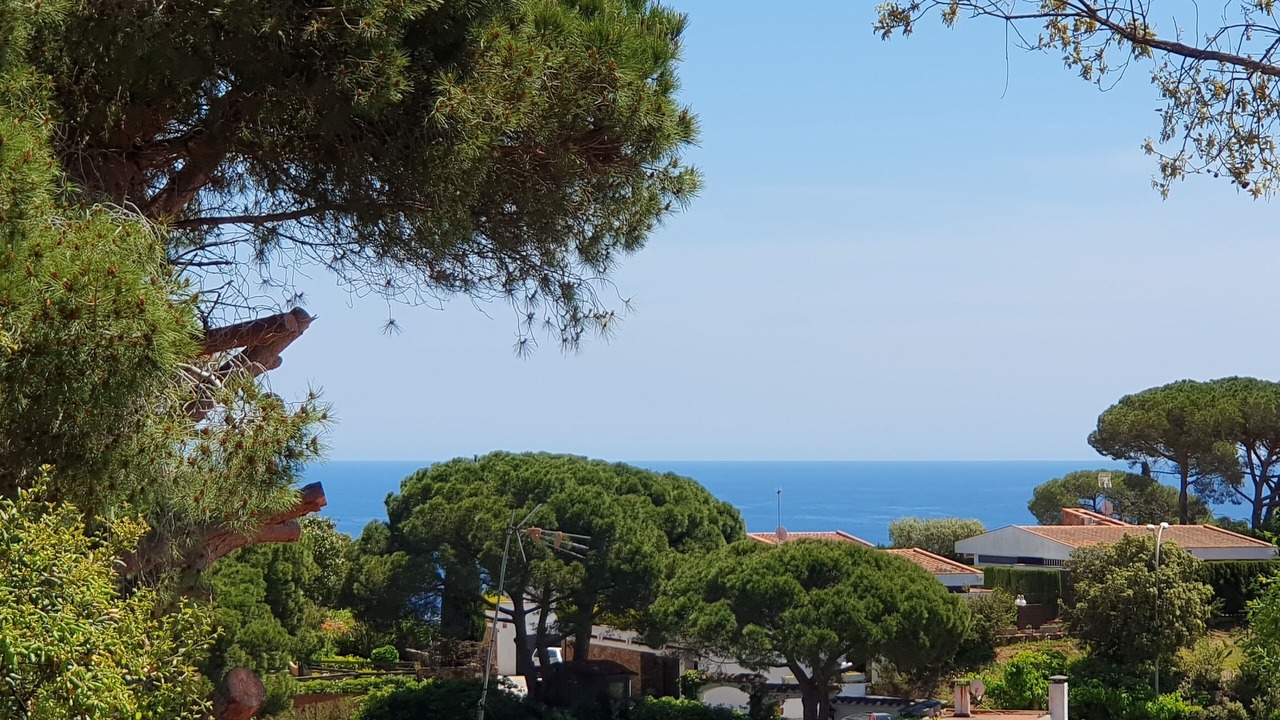 Photo of Others in Lloret de Mar