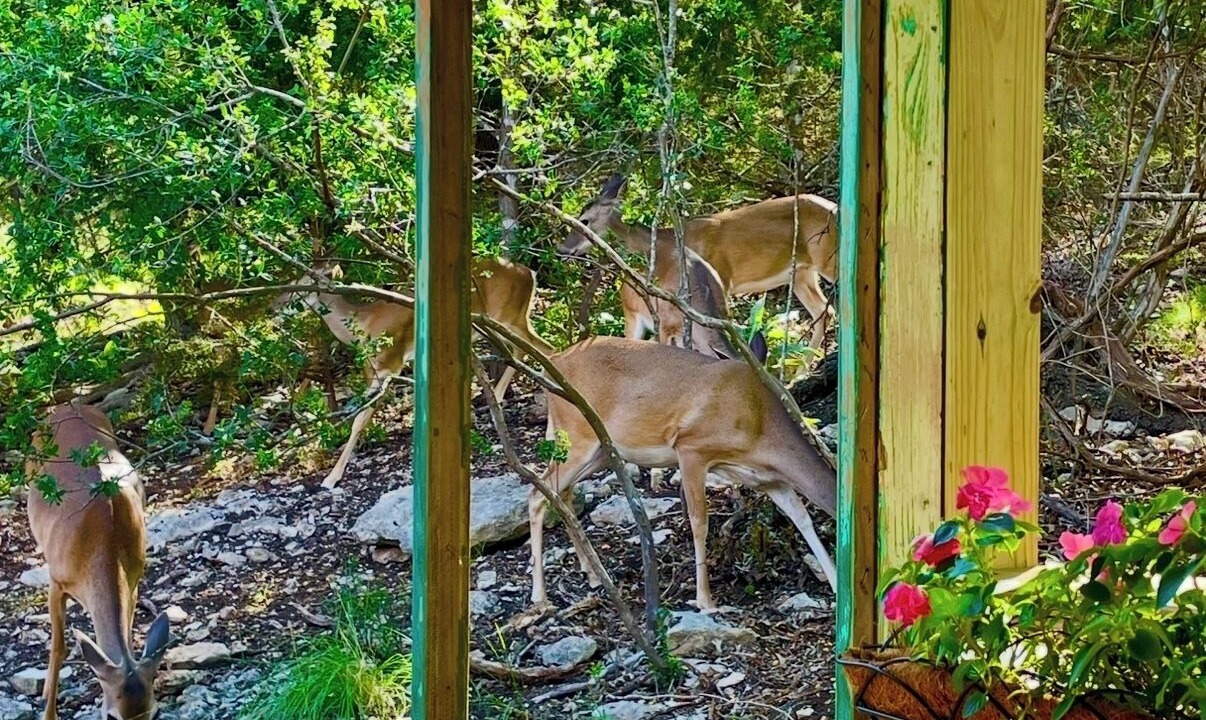 Photo of Others in Fredericksburg