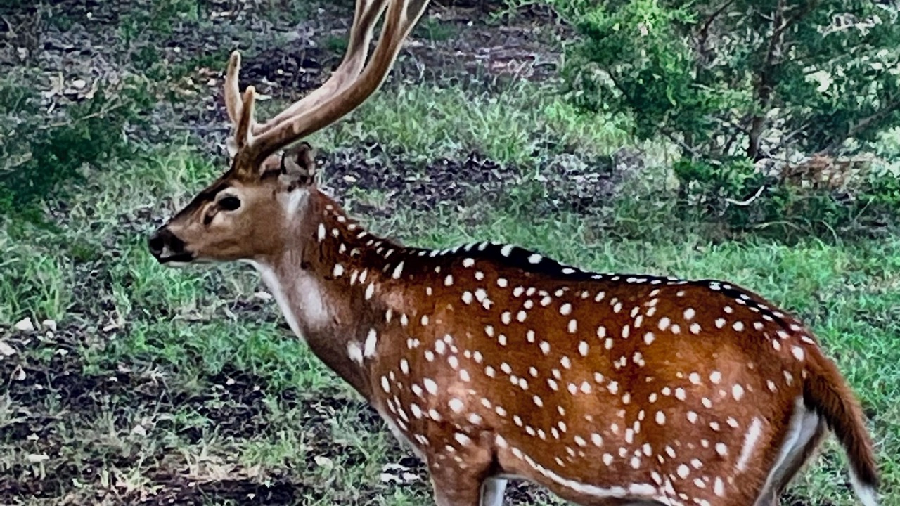 Photo of Others in Fredericksburg