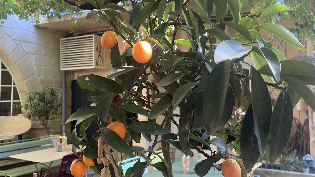 Photo of Outdoor in Mus