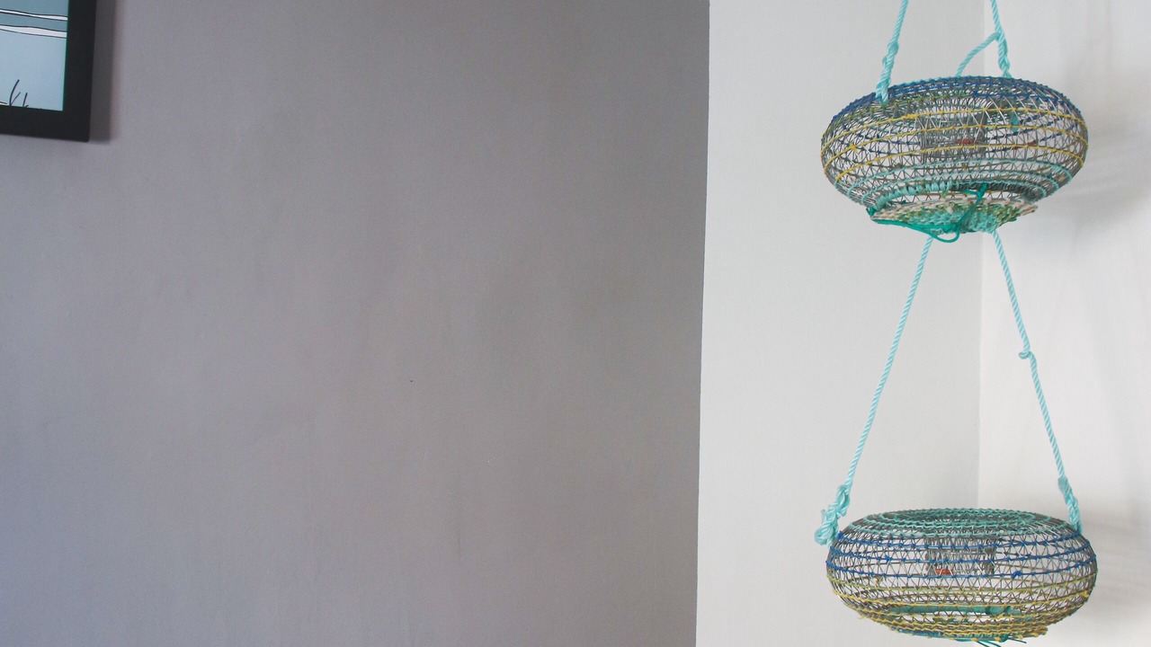 Photo of Others in Mus