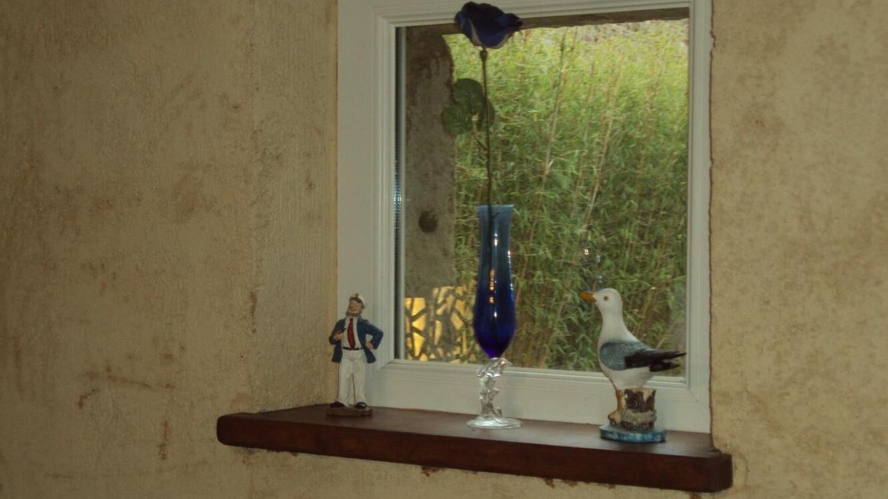 Photo of Others in Plourhan