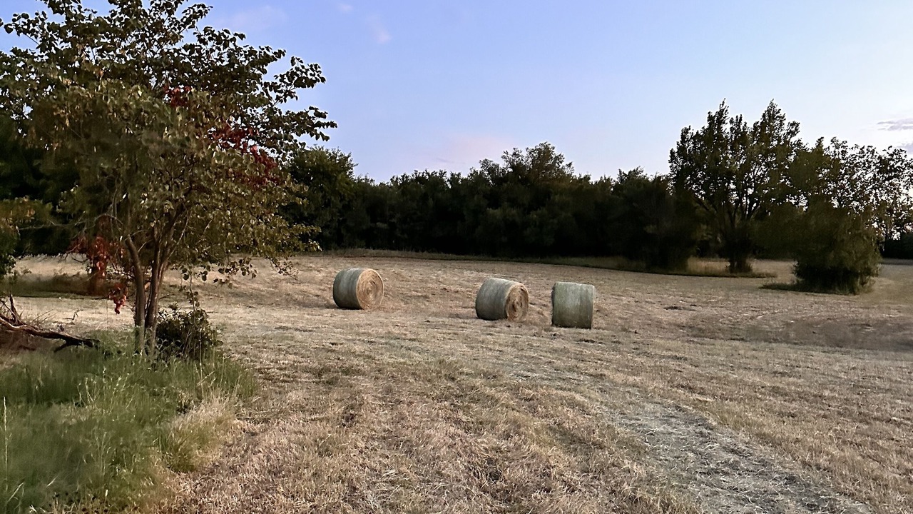 Photo of Outdoor in Norman