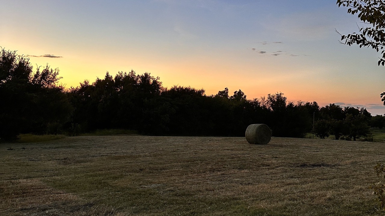 Photo of Outdoor in Norman