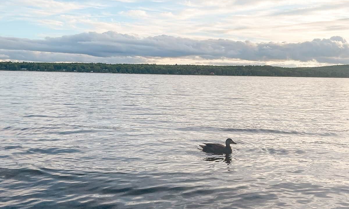Photo of Others in Portage Lake