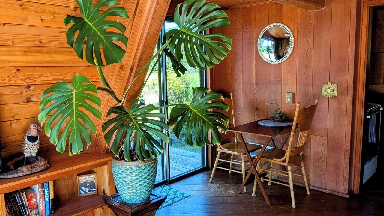 Photo of Others in Brookings