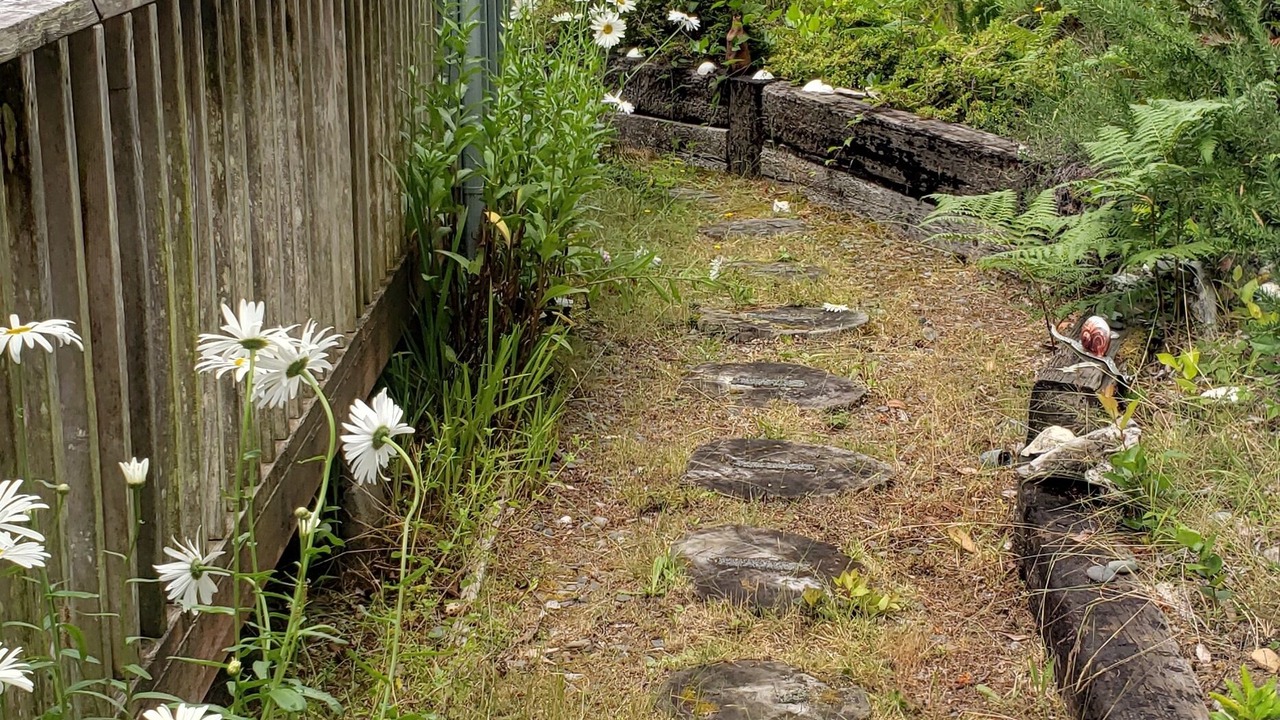 Photo of Outdoor in Brookings