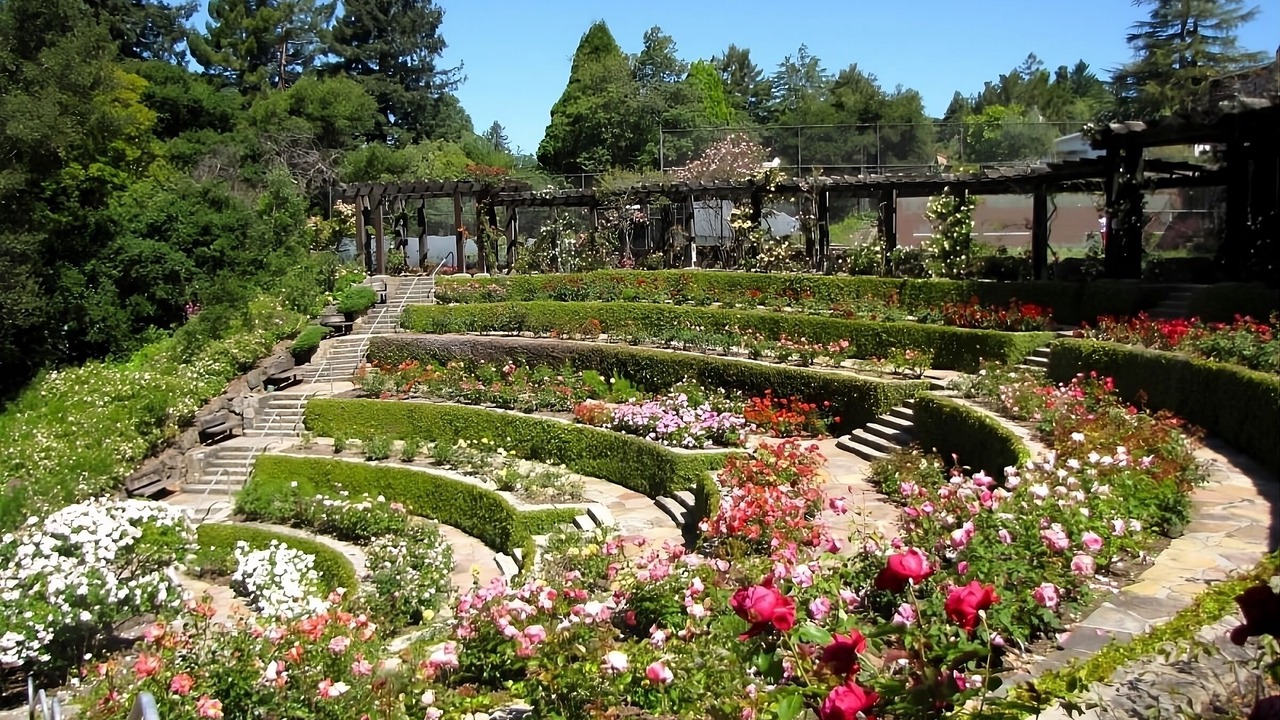 Photo of Outdoor in Pleasant Hill