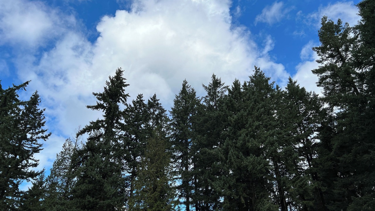 Photo of Others in Federal Way