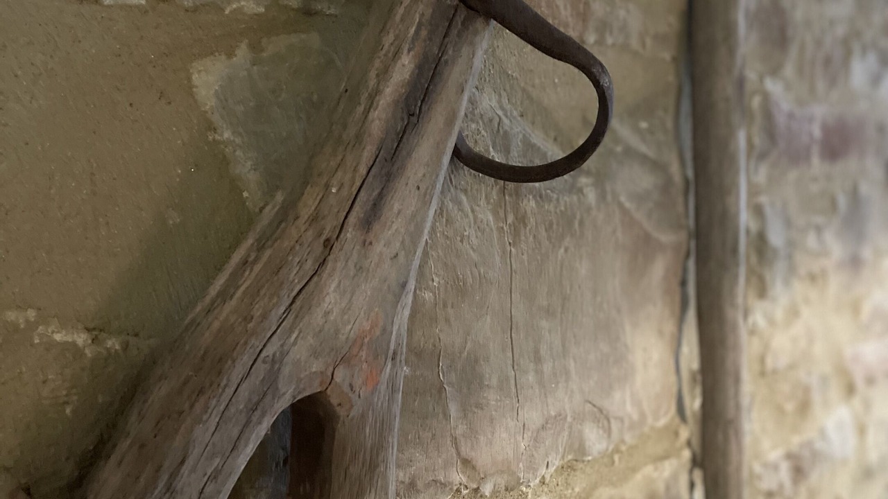 Photo of Others in Taurize