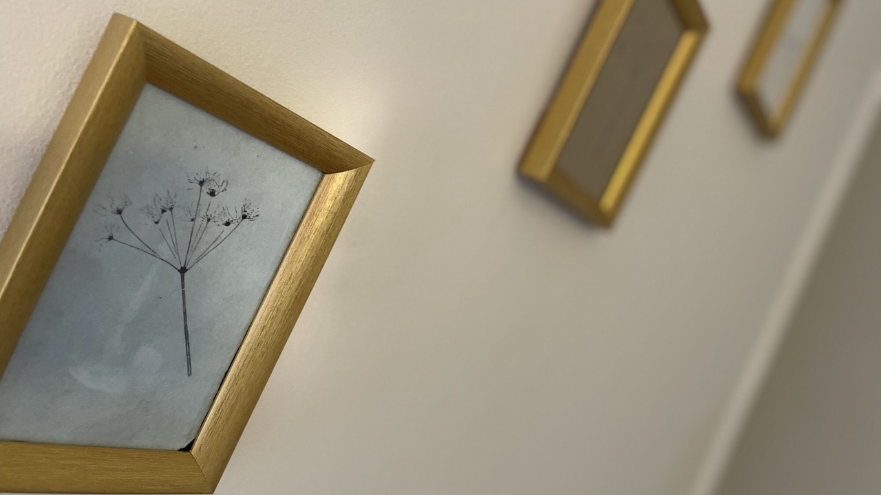 Photo of Others in Taurize