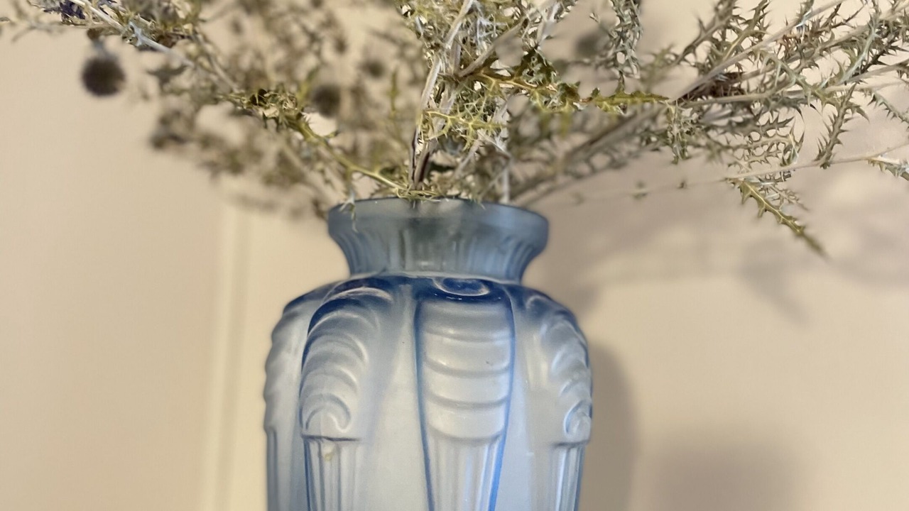 Photo of Others in Taurize