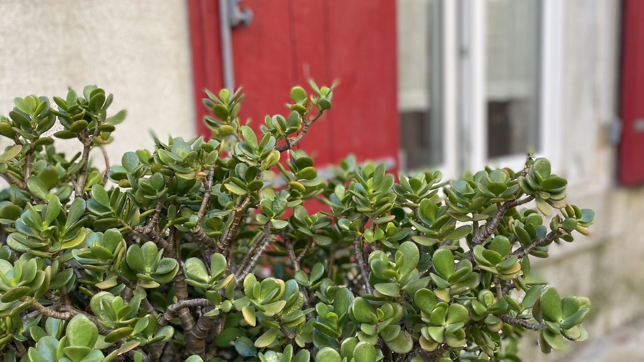 Photo of Others in Taurize