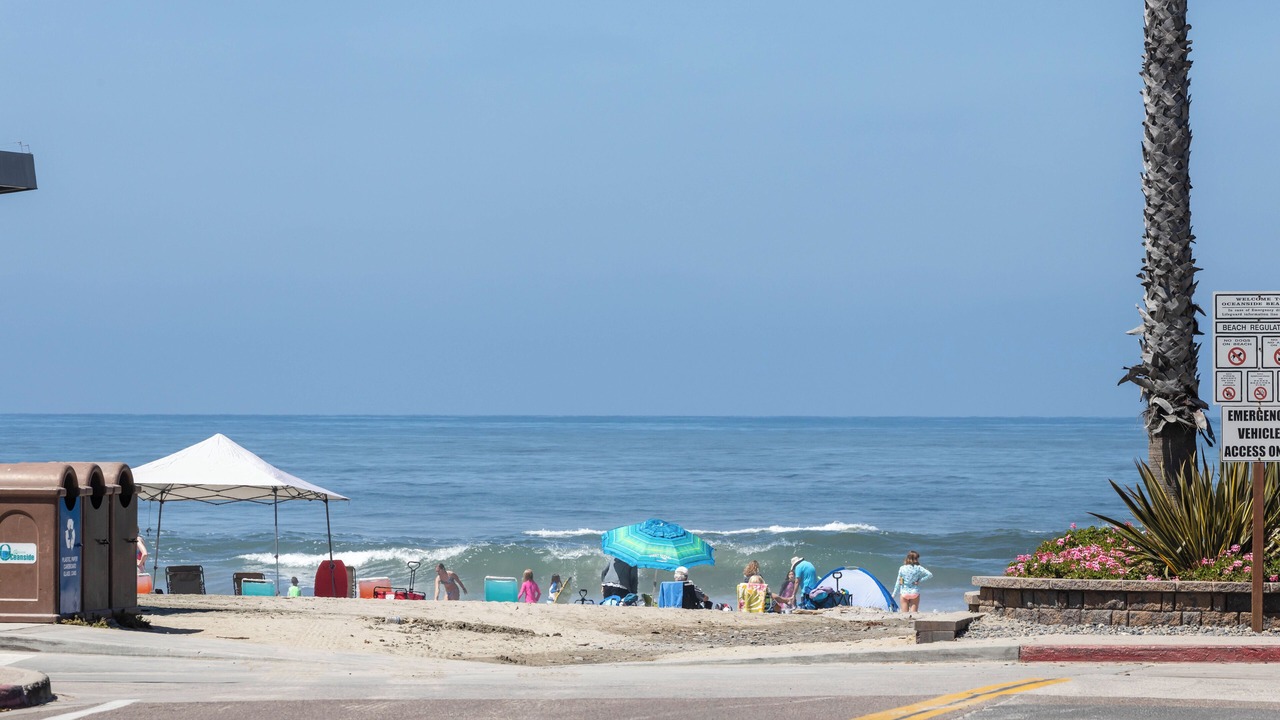 Photo of Others in Townsite
