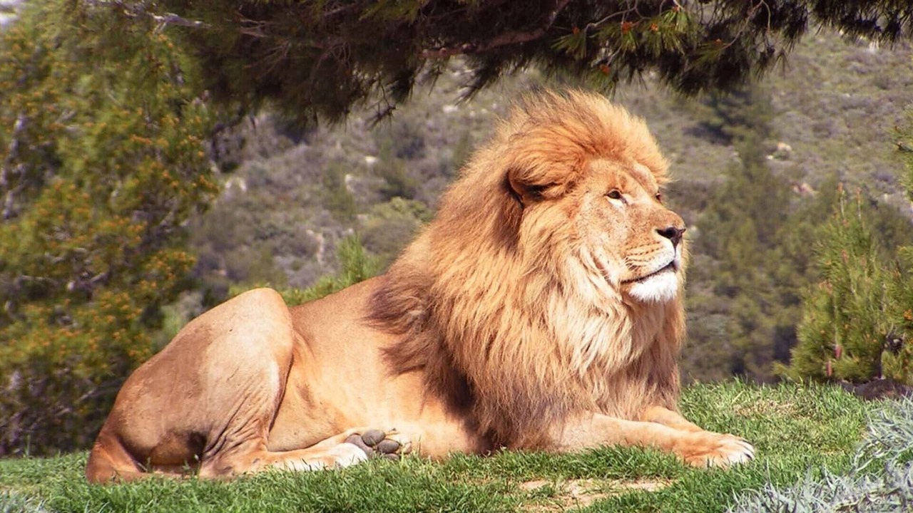Photo of Others in Sigean