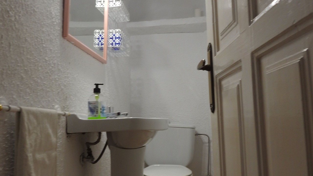 Photo of Bathroom in El Royo