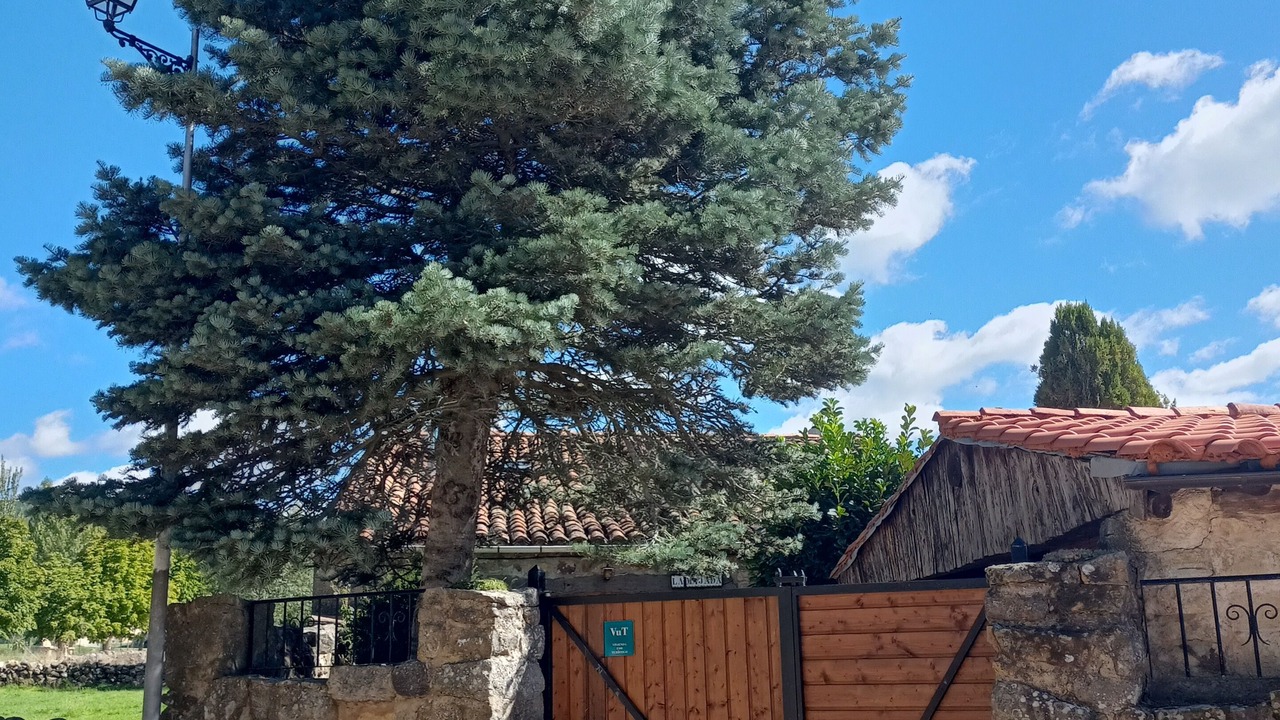 Photo of Outdoor in El Royo
