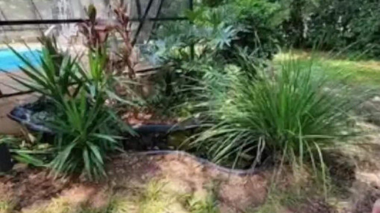 Photo of Outdoor in Fellowship