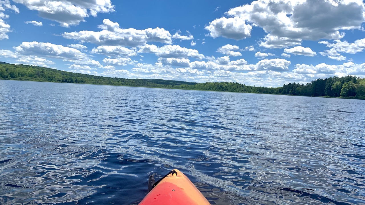 Photo of Others in Farmington Falls
