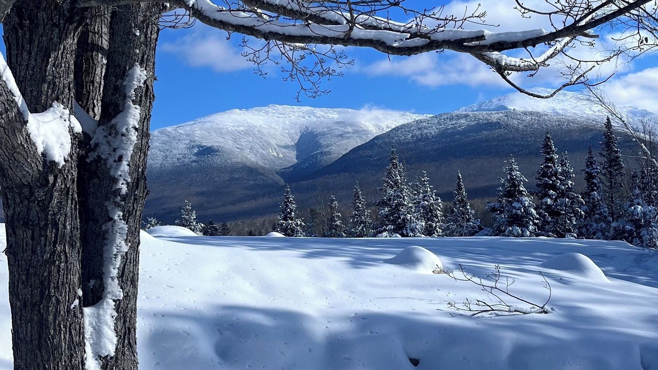 Photo of Others in White Mountains