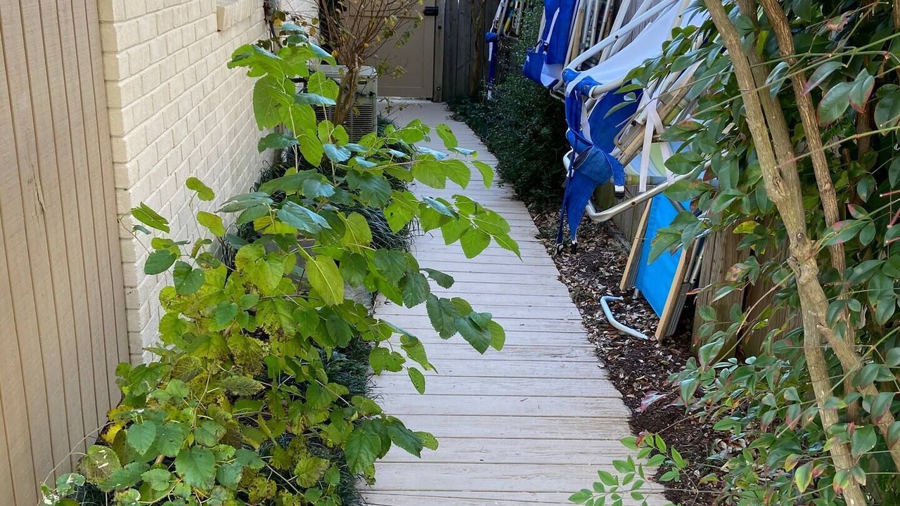 Photo of Outdoor in Northeast Virginia Beach