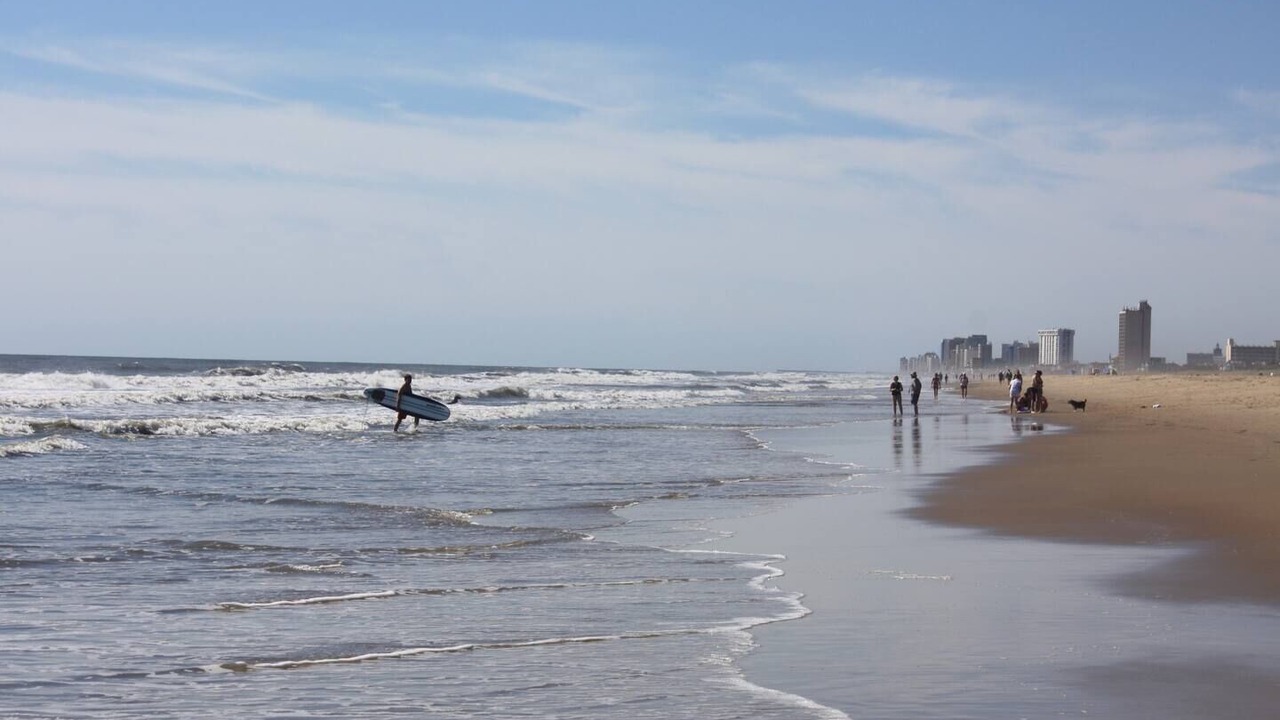 Photo of Others in Northeast Virginia Beach