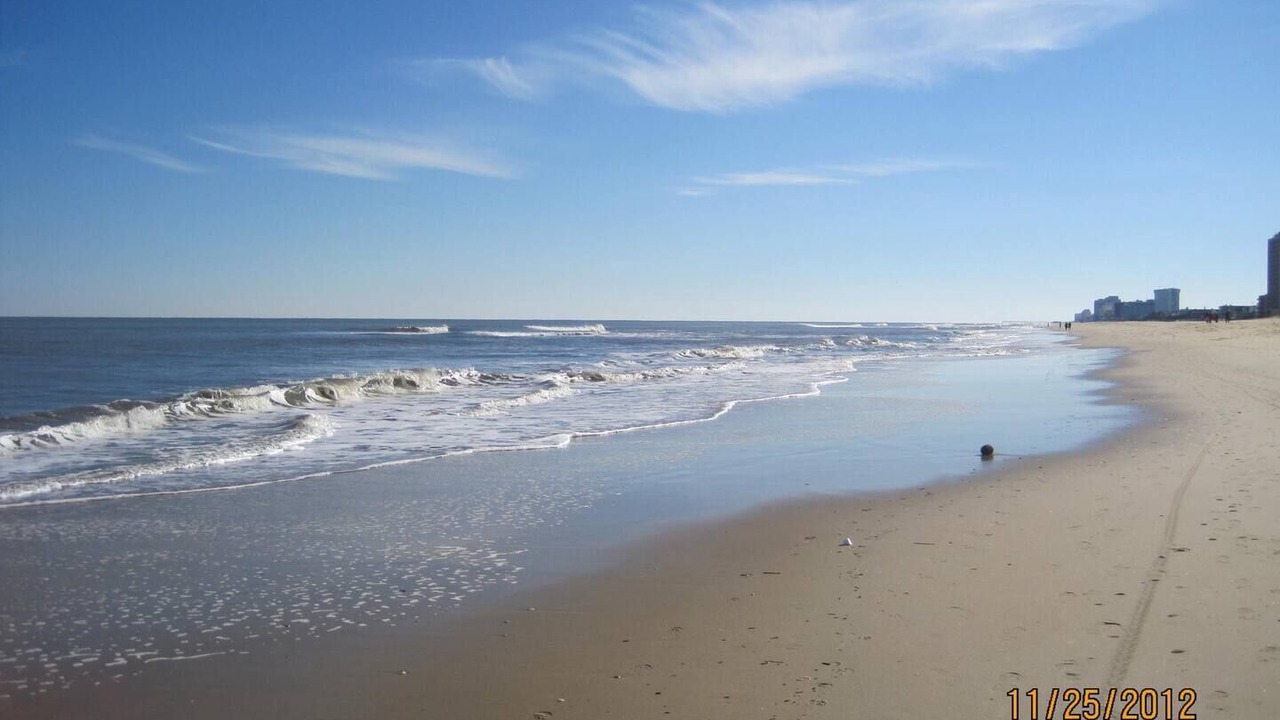 Photo of Others in Northeast Virginia Beach