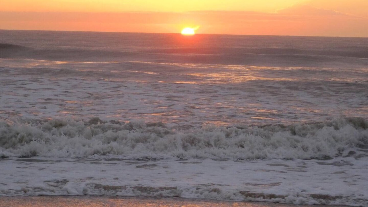 Photo of Others in Northeast Virginia Beach