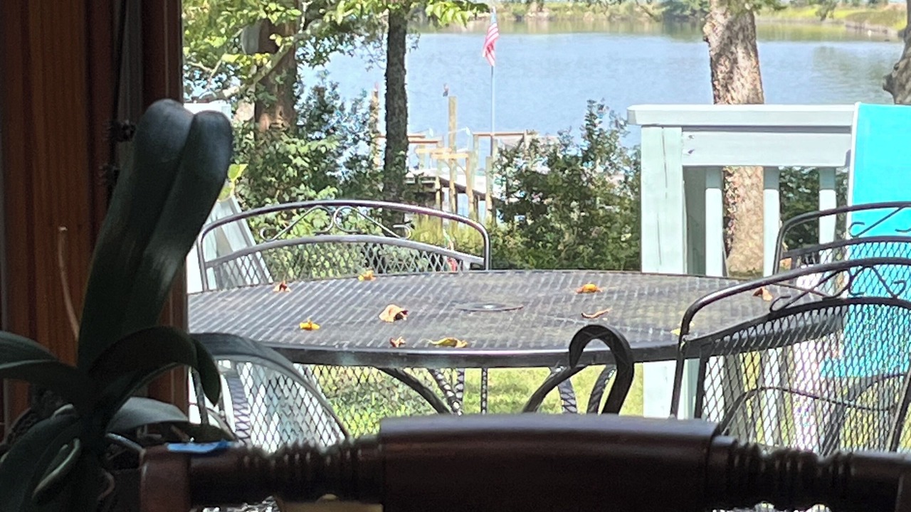 Photo of Others in Davis Wharf
