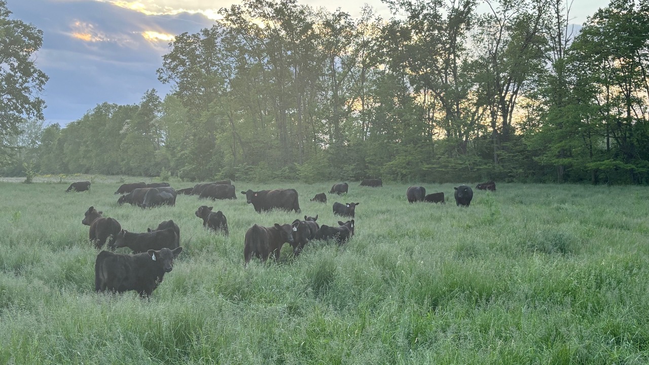 Photo of Others in Peru