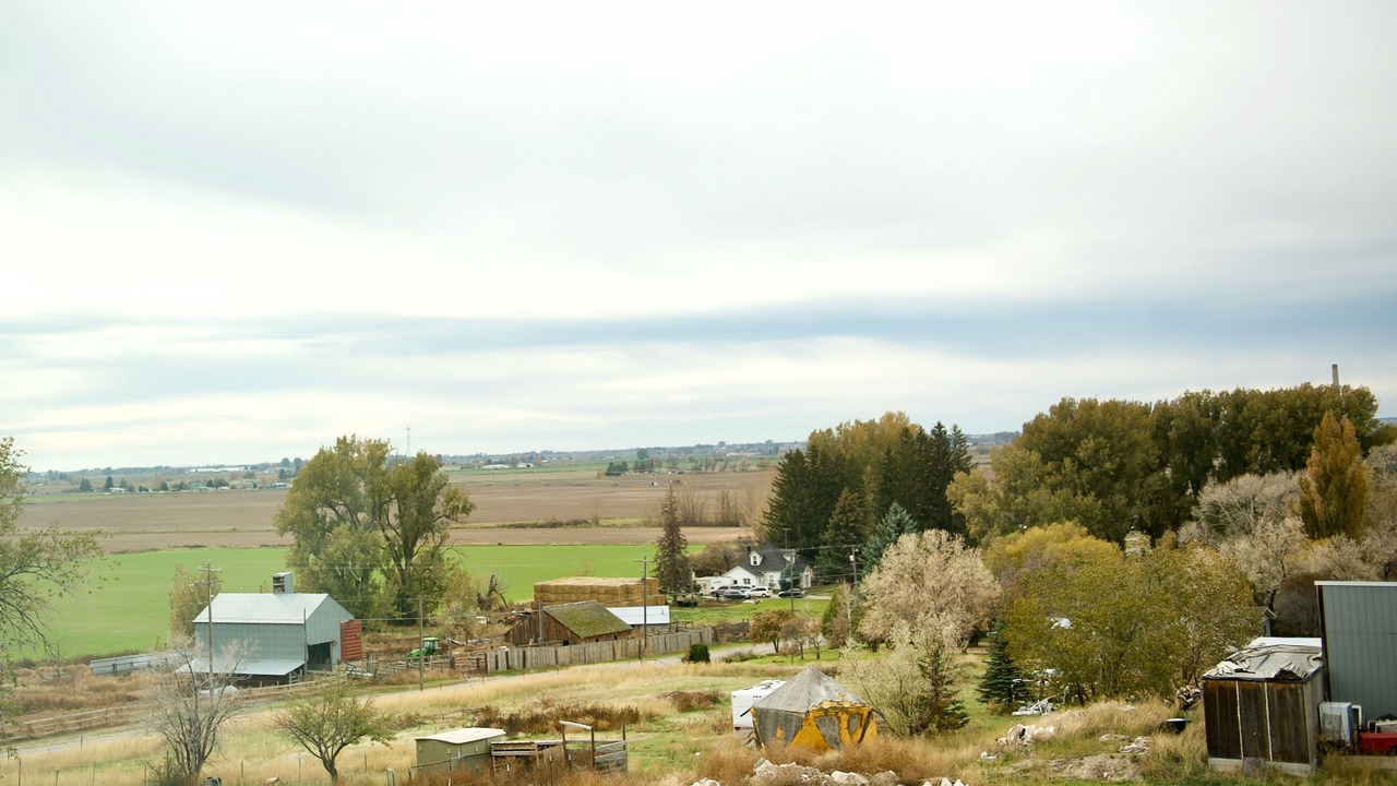 Photo of Others in Bingham County