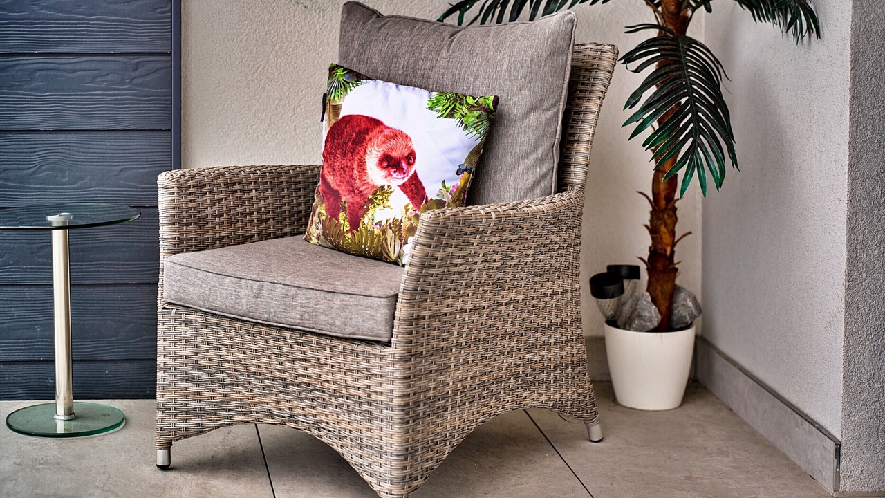 Photo of Others in Teignmouth