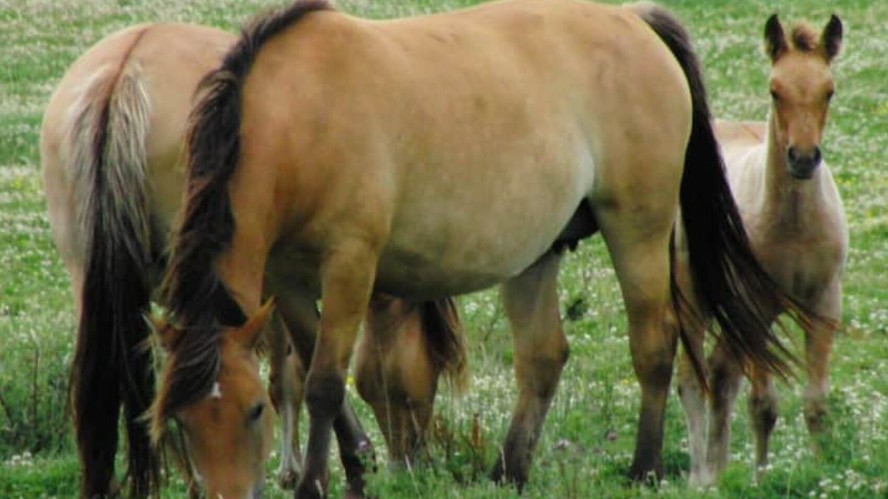 Photo of Others in Rue