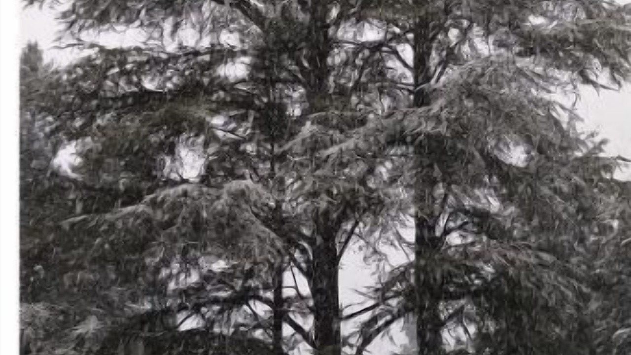 Photo of Outdoor in Challes-les-Eaux