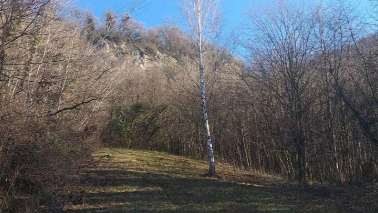 Photo of Others in Challes-les-Eaux