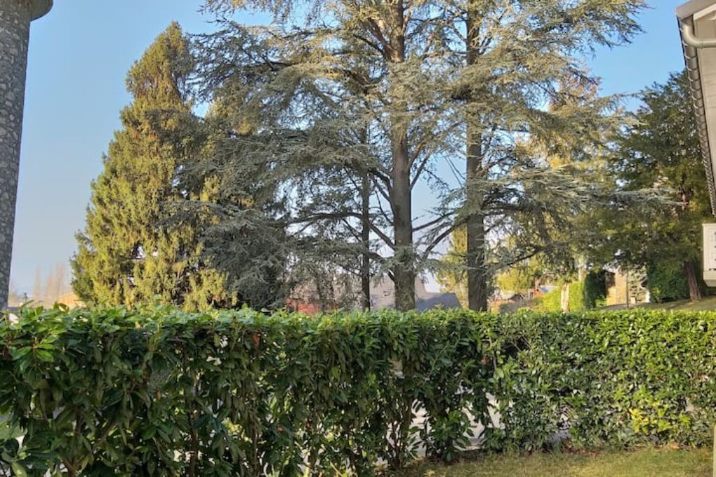 Photo of Outdoor in Challes-les-Eaux