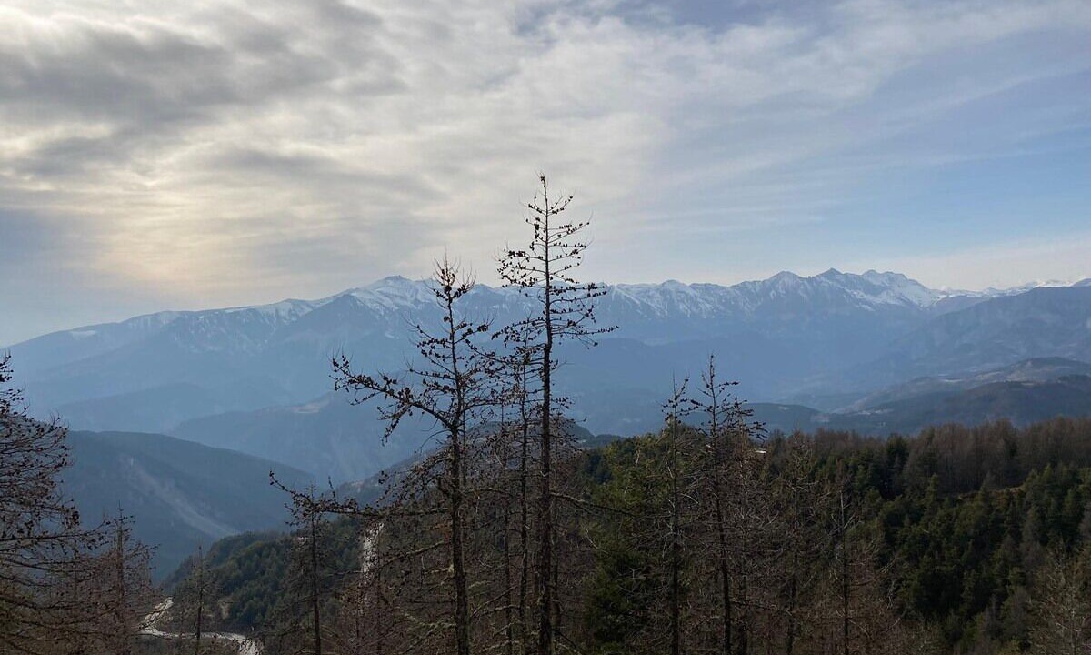 Photo of Others in Valberg