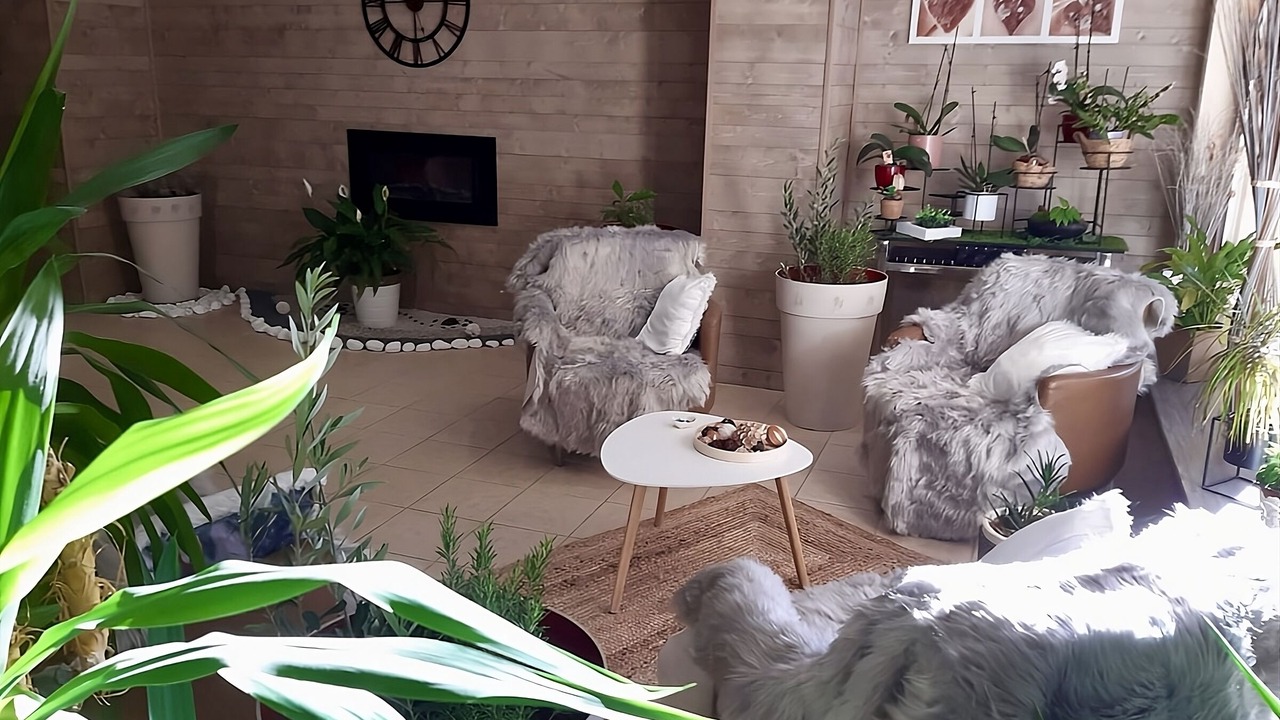 Photo of Others in Valberg