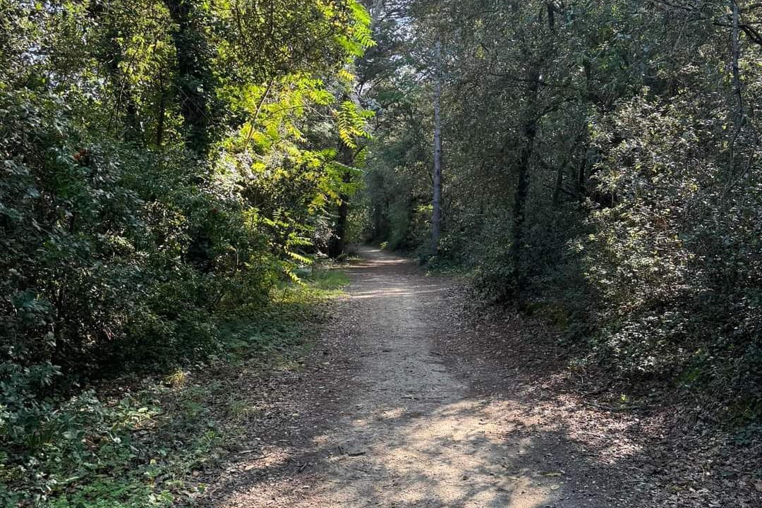 Photo of Outdoor in Saint-Jean-de-Monts