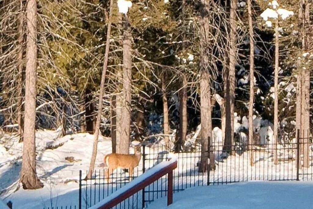Photo of Outdoor in Tremblant-Les-Eaux