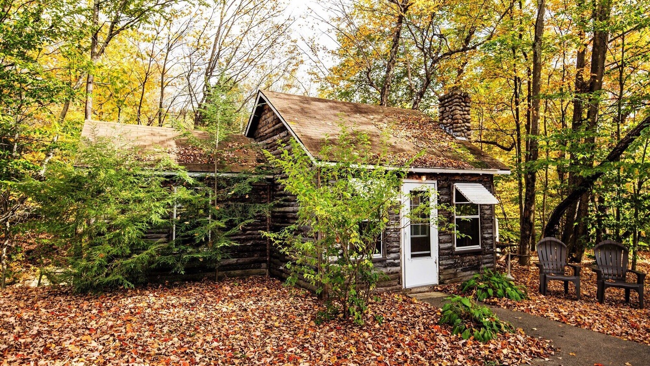 Photo of Others in Lincoln