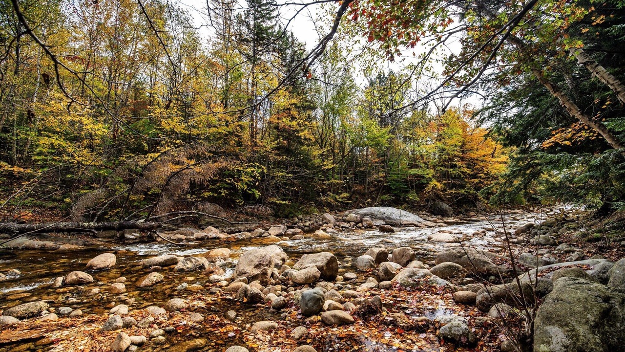 Photo of Others in Lincoln