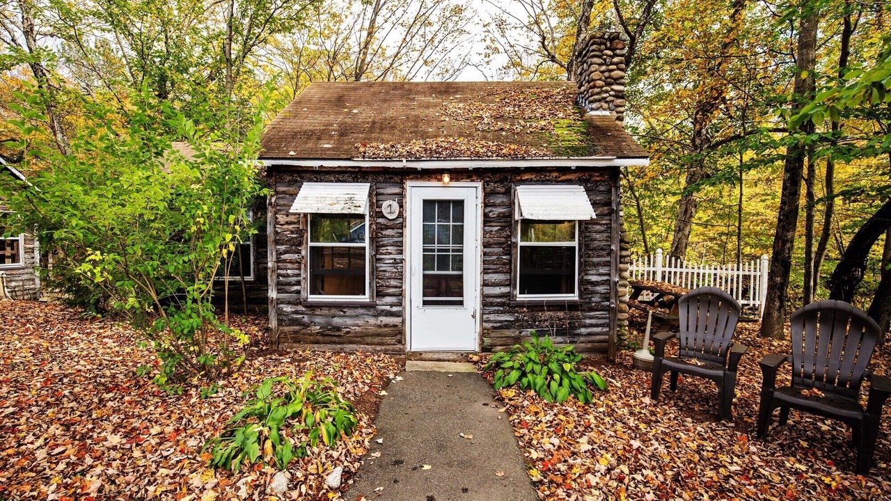 Photo of Others in Lincoln