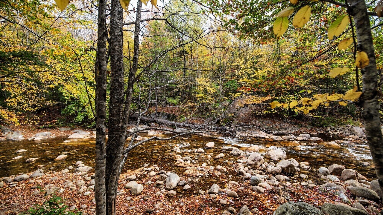 Photo of Others in Lincoln