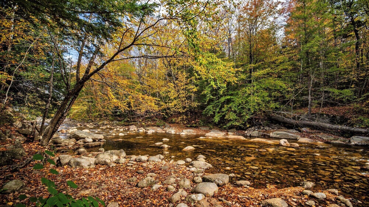 Photo of Others in Lincoln