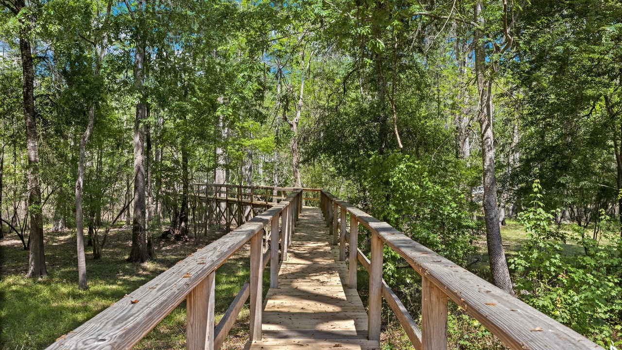 Photo of Others in Fort White