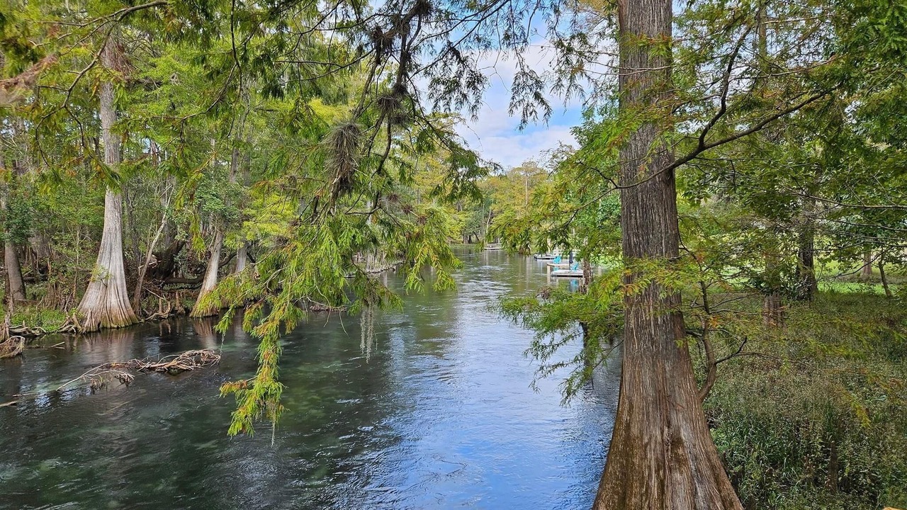 Photo of Others in Fort White
