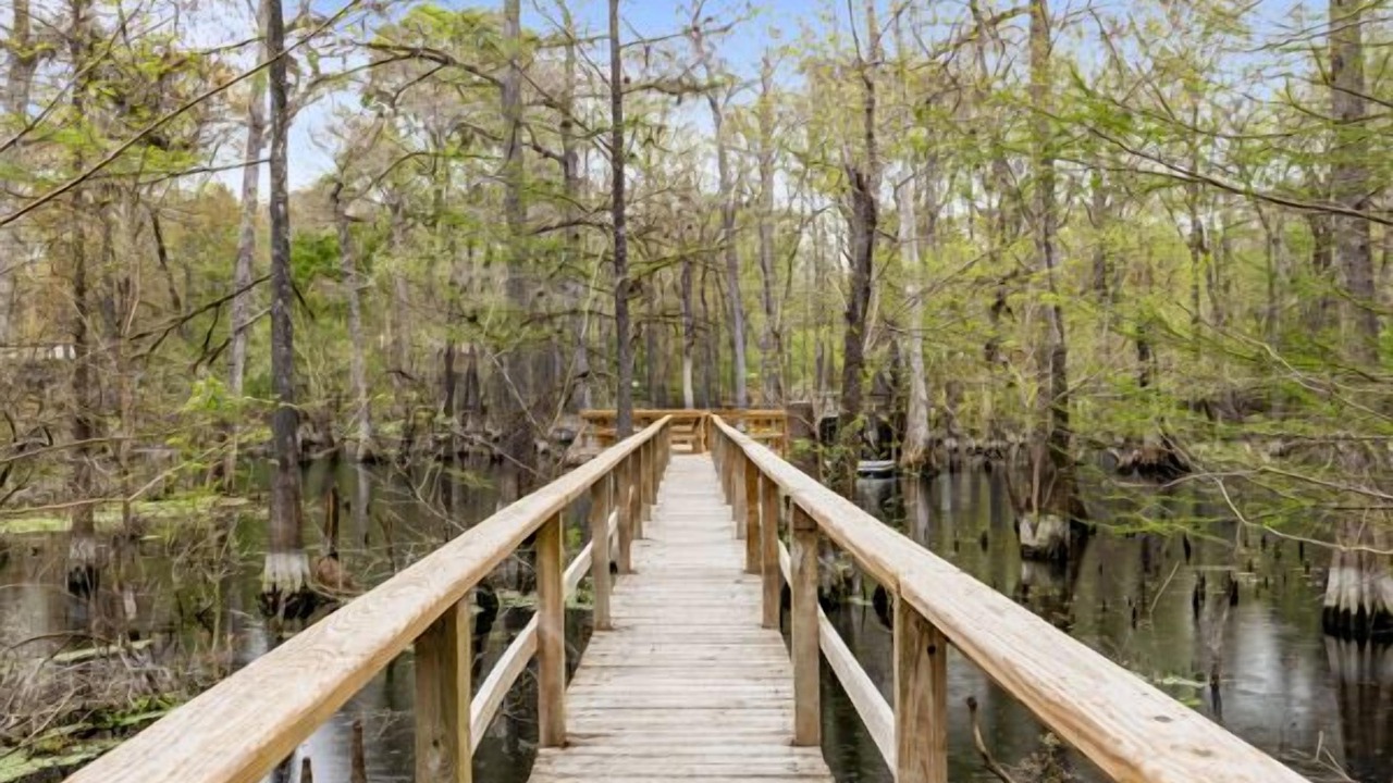 Photo of Others in Fort White