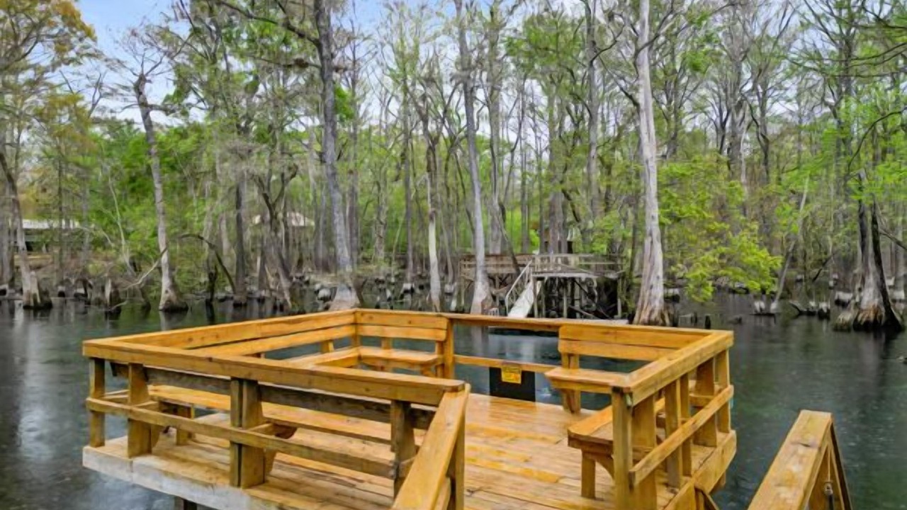 Photo of Outdoor in Fort White