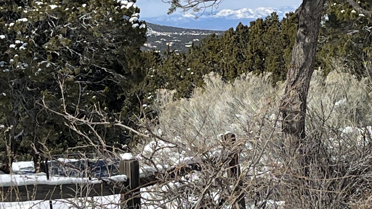 Photo of Outdoor in Sandia Knolls